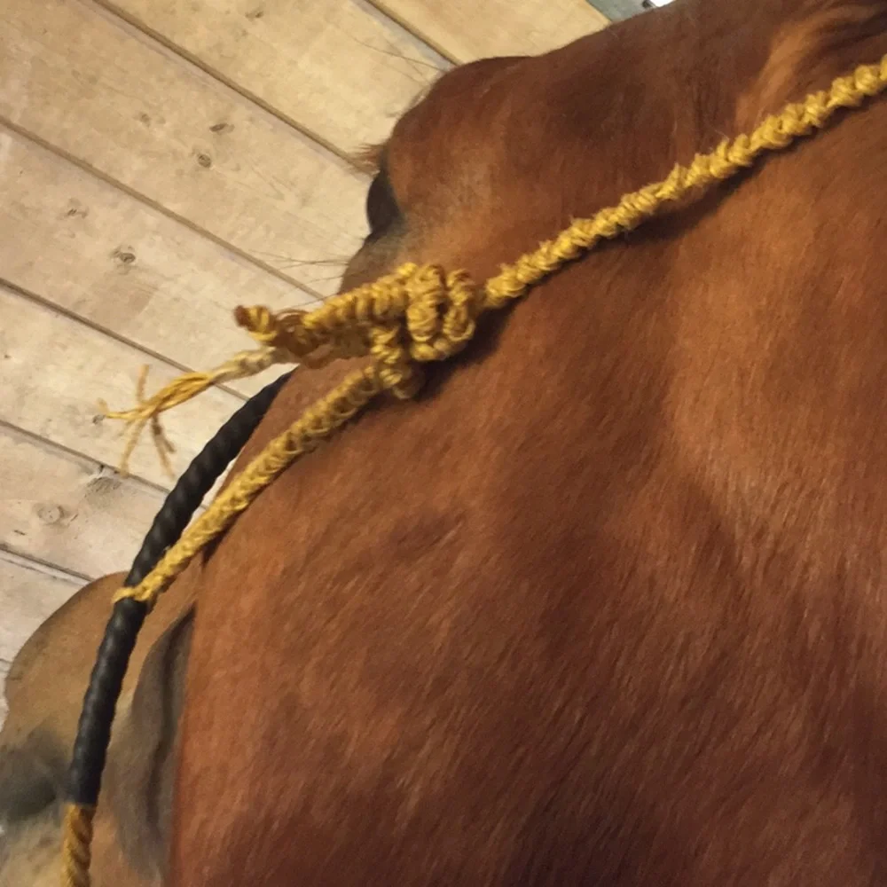 Artisan repurposed horse tack prototype art western project equestrian cowgirl - Picture 9 of 14